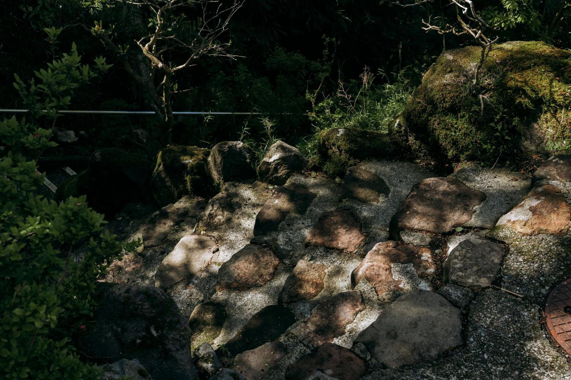 Вилла Aknot Hakone 大涌谷を望むモダニズム建築 東京から90分 Экстерьер фото